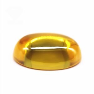 import placeholder for 13005